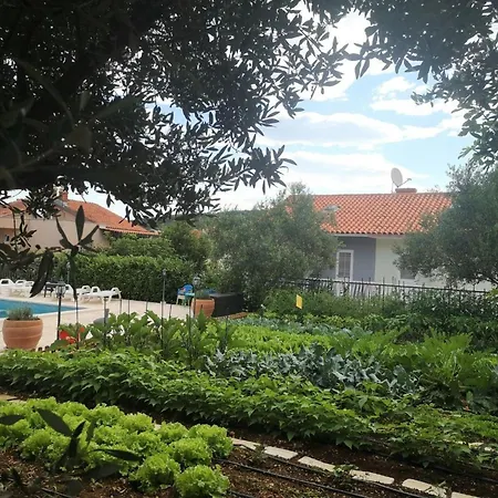 In Okrug Gornji Mit Schoenem Pool Und Meerblick By Interhome Holiday home *